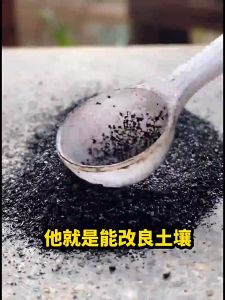 100g 土壤活化剂 Soil Activator Promote Rooting Soil Remediation Promote Fruiting Soil Improvement Loosening Agent