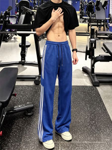 Klein Blue Scale Pattern Stripe Mens Summer Breathable Casual Pants