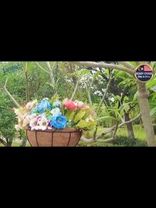 Coconut Palm Metal Hanging Flower Plant Pot Basket Hanger Garden Balcony Decoration Pasu Gantung Sabut Kelapa