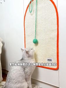 Scratch Board Cat Stand-Up Stickable Sofa Wall-Hanging Cushion Cat Scratch Board Wear-Resistant Protection