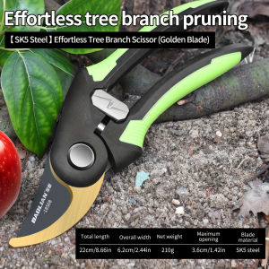 Superior Sharpness and Ergonomic Non-Slip Grip for Maximum Efficiency