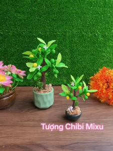 Chậu cây Tắc cây Quất bằng đất sét Nhật tự khô mang lại sung túc may mắn và bình an