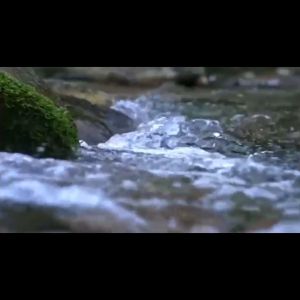 Theoni Natural Mineral PH8 Spring Sparkling Carbonated Water 1L