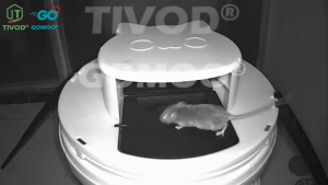 【3pcs】 Automatic Flip Mouse Trap For Big Rat Trap Bucket Cover Rat Killer Off Heavy Duty Mouse Clip Snap Trap