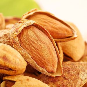 Natural Unsalted Roasted Almonds 2025 New Crop