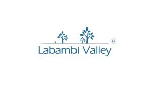 Tinh dầu sả chanh Labambi Valley chiết xuất 100% tinh dầu thiên nhiên 10ml/20ml/30ml/50ml/100ml