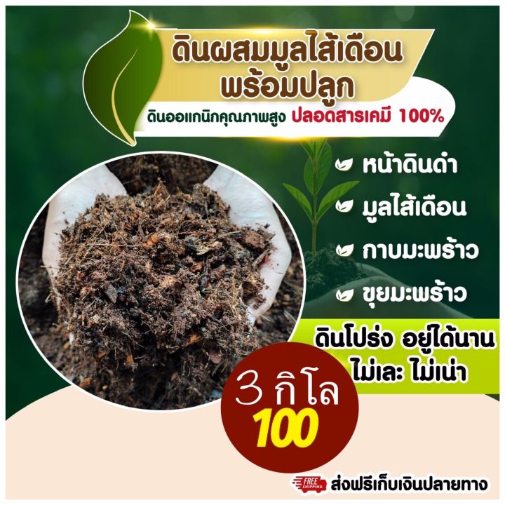 ดินผสมมูลไส้เดือนพร้อมปลูก สูตรสวน ส่งฟรี