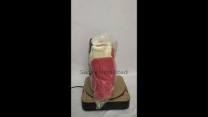 Sarung Tangan Dipping & Gunte: Aksesoris Kerja dan Perlengkapan Industri