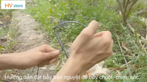 Bộ 10 Bẫy Chuột Bán Nguyệt Loại To Đường Kính  15cm Siêu Nhạy Giá Tốt Tại Xưởng