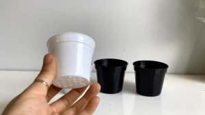 Chậu tròn đen trắng size 6.7x5.7cm ươm cây trồng sen đá xương rồng kiểng lá bonsai mini nhựa PP