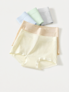 Secret World | Womens Cotton Long Leg Antimicrobial Briefs