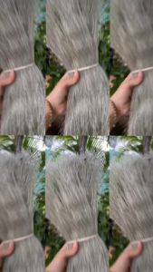 MIẾN DONG THÁI TAY SỢI TO/SỢI NHỎ ĐẶC SẢN ĐIỆN BIÊN