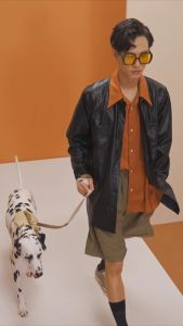 VooCoo สายจูงสัตว์เลี้ยง ทรงอานม้า ที่สวมใส่สะดวกสบาย ความยาวสาย 120 ซม. | Pet and More