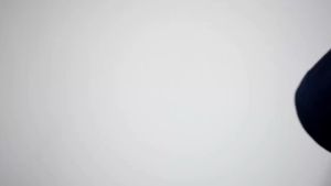 [zensasi] Baju Kaos T-Shirt Anak Laki-Laki Dan Perempuan Lengan Pendek Gambar Paus Warna Putih