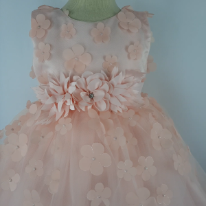 Big Joy Baby Formal Gown with Applique Flower with FREE PAPER BAG Peach for Ages 3 to 24 MO 564275