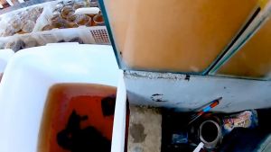 ARTEMIA SUPREME PLUS 10gr 30gr 50gr 100gr: Makanan Kultur Tetas & Pakan Ikan Air Aquarium Kolam Aquascape