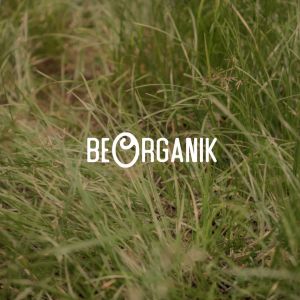 Sambal Spesial All Variant Beorganik