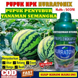 Pupuk NPK Nurratonix 500ml Pupuk Penyubur Tanaman Semangka Premium – Nutrisi Optimal untuk Pertumbuhan Maksimal Buah Besar Manis dan Panen Melimpah – Komposisi Organik & Mineral Lengkap Cepat Terserap Mudah Digunakan