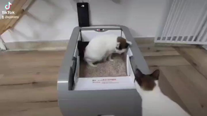 Battery powered litter outlet box