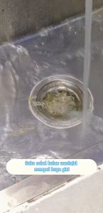 ( BISA COD ) PROMO SARINGAN WASTAFEL PLASTIK BENTUK BUNGA / SARINGAN WASTAFEL MODEL BUNGA LUCU DIAMETER 9 CM / SARINGAN AFUK BAK CUCI PIRING / SARINGAN SINK DAPUR