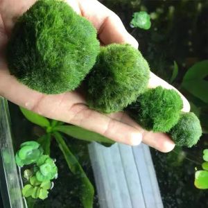 Fake Stone Artificial Moss Rocks Home Decor Simulation Plant DIY Decoration for Garden and Crafting Green Wholesale WORLDKPI