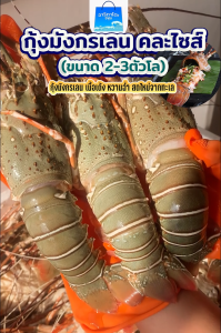 ส่งฟรีกุ้งมังกรส๊ดสด 1กิโลกรัม