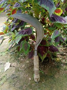 Arit sabit rumput ranting rambanan padi dll (peralatan berkebun cocok di gunakan sehari-hari)