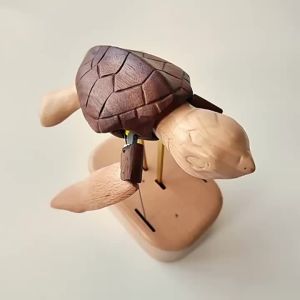 1PCS Kinetic Wooden Sea Turtle Model Bionic Marine Animal Desk Ornament Gift | Handcrafted automatonNatural Wood Art Piece