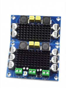 Risym | Single Channel 100W Digital Amplifier Board 12-26V