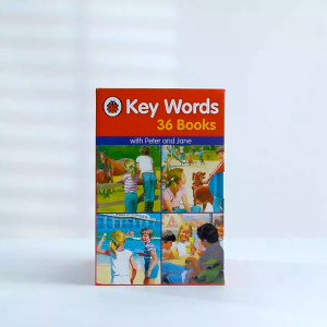 Happy ladybug key words high-frequency words English original graded reading picture books 36 books