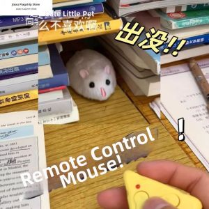Jiaxun | Remote Control Rat Toy for Entertainment