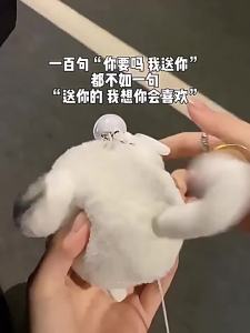 Plush Dog Toy for Children