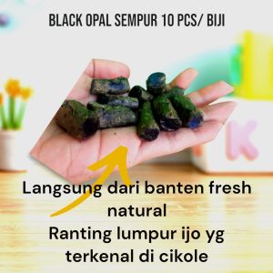 batu cincin black opal sempur ranting kecil 10 pcs / Bahan batu opalized wood banten batu cincin akik asli natural