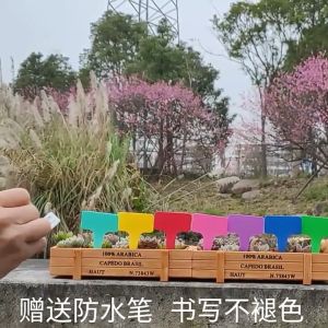 Reviln ป้ายพลาสติก mini ป้ายชื่อแคคตัส ป้ายชื่อสวน ป้ายไม้ดอกไม้ garden label มีสินค้าพร้อมส่ง