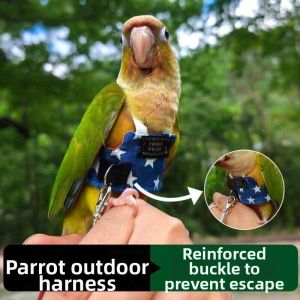 Ultra-light Parrot Harness for Walking Flying and Loss Prevention