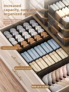ASCOR | Clothes Organizing Box for Intimate Wear Underwear Socks Brassieres with Partition 3-in-1