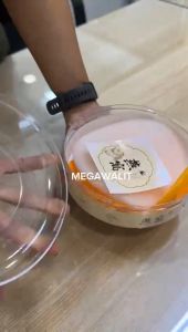 Bird Nest Gift Box Packaging Container 燕窝包装礼盒