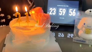 Premium Gold Number Birthday Candle / 0-9 Nombor Lilin Hari Jadi / Digital Number Cake Candle Party 金色号码 数字蜡烛 生日蜡烛