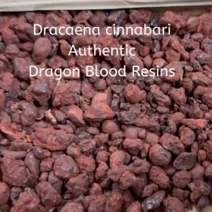 SI Dragon’s Blood Resins Dracaena cinnabari & Dracaena Daemonorops