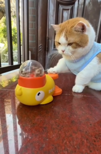 ของเล่นให้อาหาร เครื่องแจกขนม รูปเป็ดสุดน่ารัก ของเล่นแมว ของเล่นหมา เสริมพัฒนาการ เป็ดแจกขนม