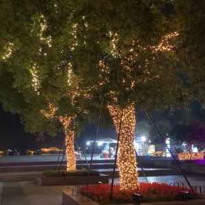 Extendable 100 LED 10M Twinkle Starry Fairy String Outdoor Festive Lighting Decoration Lamp Waterproof Decor Lights