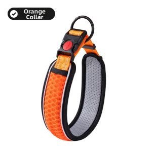 7o | Adjustable Dog Collar and Leash for Various Dog Sizes