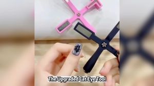 5 in 1 Magnet Cateye Cat Eye Magnet Cateyes Polish Magnets