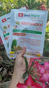[Freeship Max] Thuốc trừ bệnh METALAXYL 500 gói 100 gram (hoạt chất Metalaxyl 25%w/w) trừ phấn trắng sương mai thối thân loét sọc mặt cạo chết nhanh_VTNN TIEN KHOA