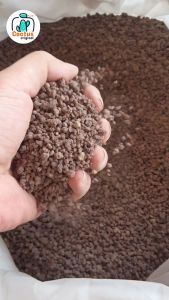 เบรรนด์ หินลาวาแดง Red lava - บรรจุถูก 1 กิโล ขนาด 1-2 มิล วัสดุปลูก ผสมดินแคคตัส โรยหน้ากระถาง แค่คู่กระถาง คู่กระถาง 1 หมู บรรจุถูก