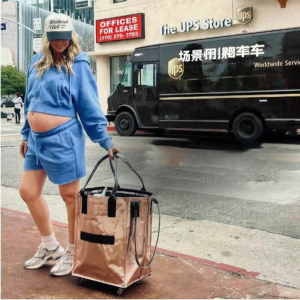 ZHUOLESHI | Thickened Large Capacity Shopping Trolley Bag