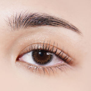 [กดซื้อคู่ที่ 2 เพียง 1.- ] PEGAVISION คอนแทคเลนส์สี รายเดือน รุ่น Forest Miracle สี Bronze Black (2 เลนส์/กล่อง)