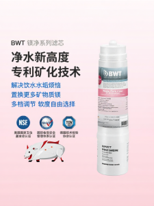 Bwt | High Flow Magnesium Replacement Water Filter