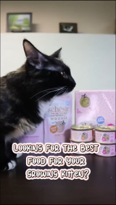 Schesir Baby Complete & Balanced Wet Food for Kitten - w DHA Taurine for Growth & Brain Development