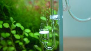 CO2 Diffuser Set | 4 in 1 | Aquarium Aquascaping | Happy Deal